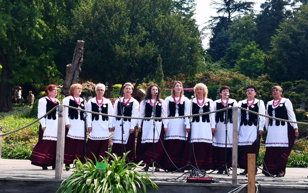 Zesp&oacute;ł Folklorystyczny "Swojacy" w Wojsławicach - zdjęcie 4