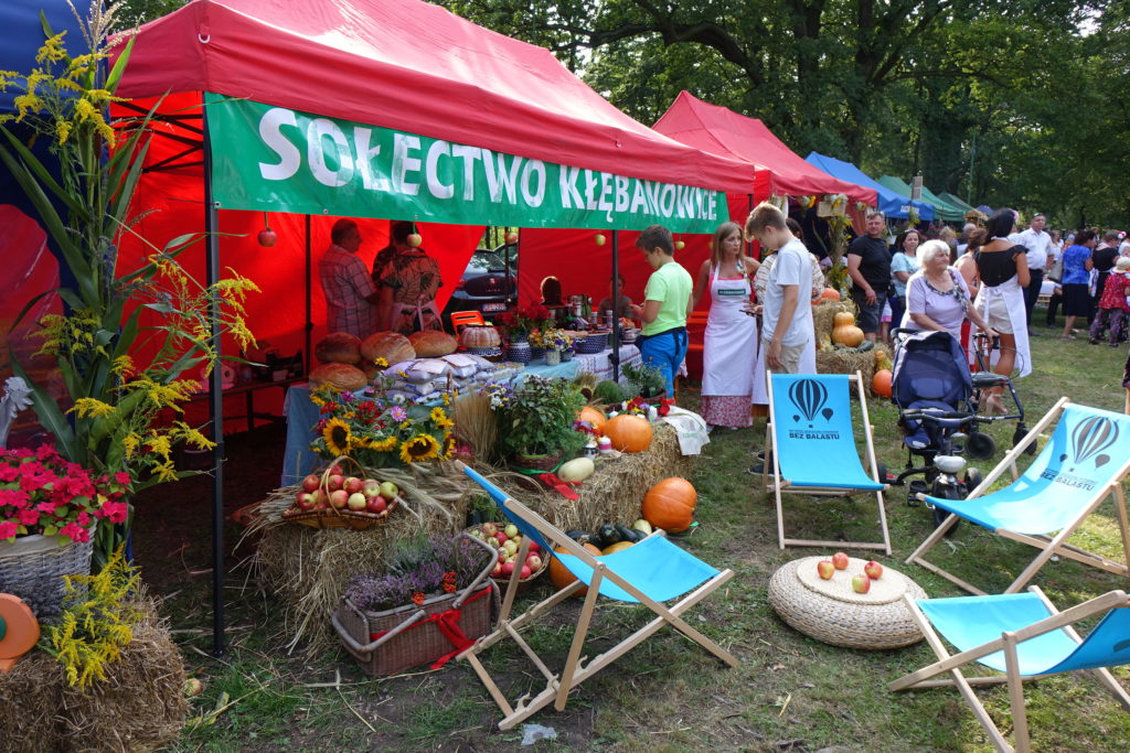 Święto Plon&oacute;w w Radwanicach - zdjęcie 11