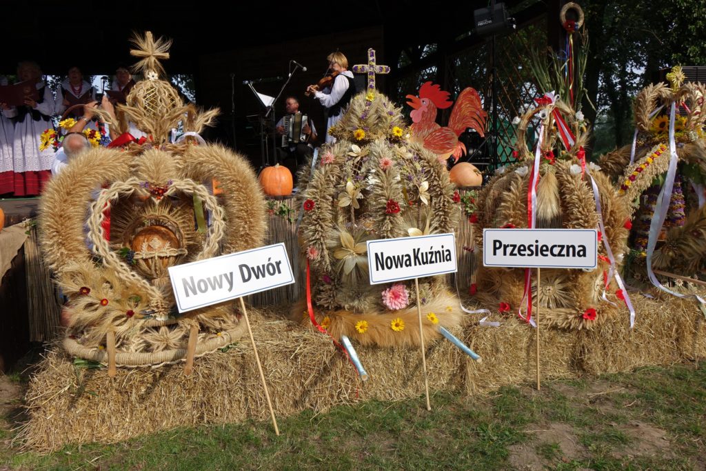 Święto Plon&oacute;w w Radwanicach - zdjęcie 22