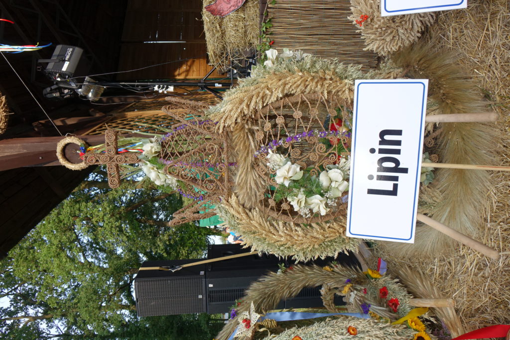 Święto Plon&oacute;w w Radwanicach - zdjęcie 17