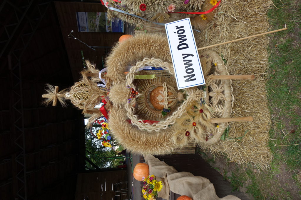 Święto Plon&oacute;w w Radwanicach - zdjęcie 18