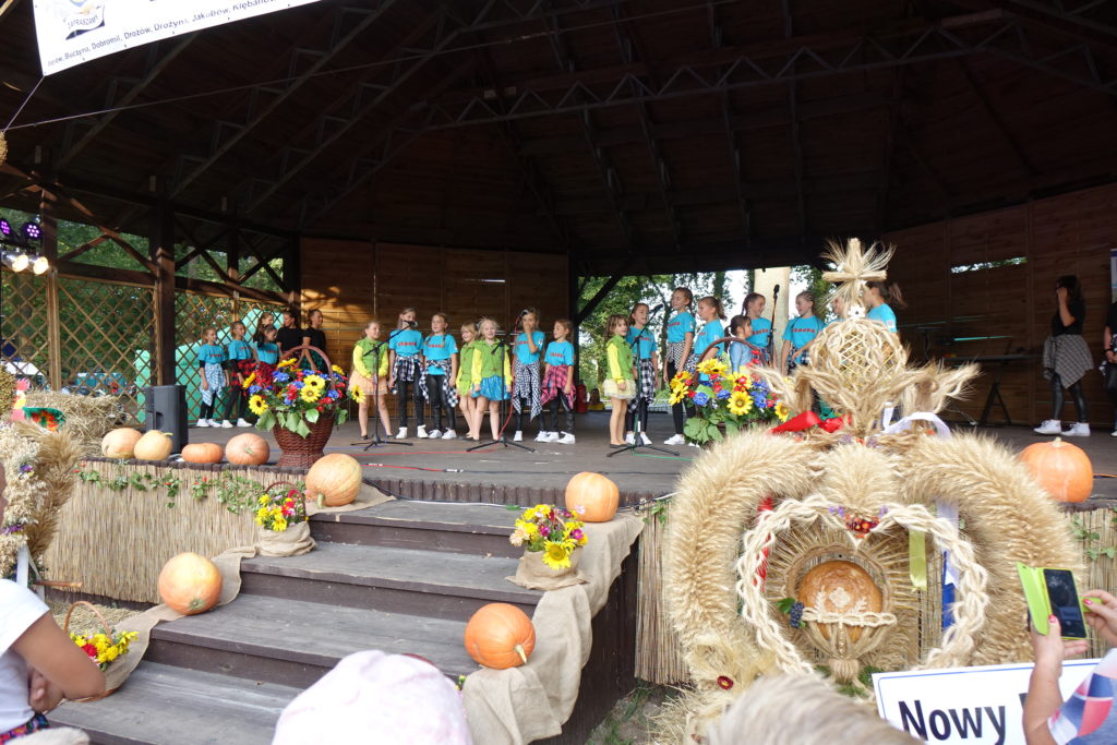 Święto Plon&oacute;w w Radwanicach - zdjęcie 21